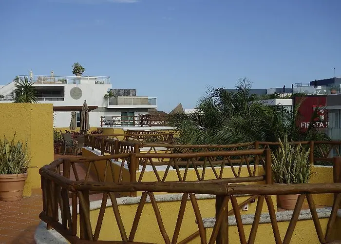 Palmas Playa del Carmen